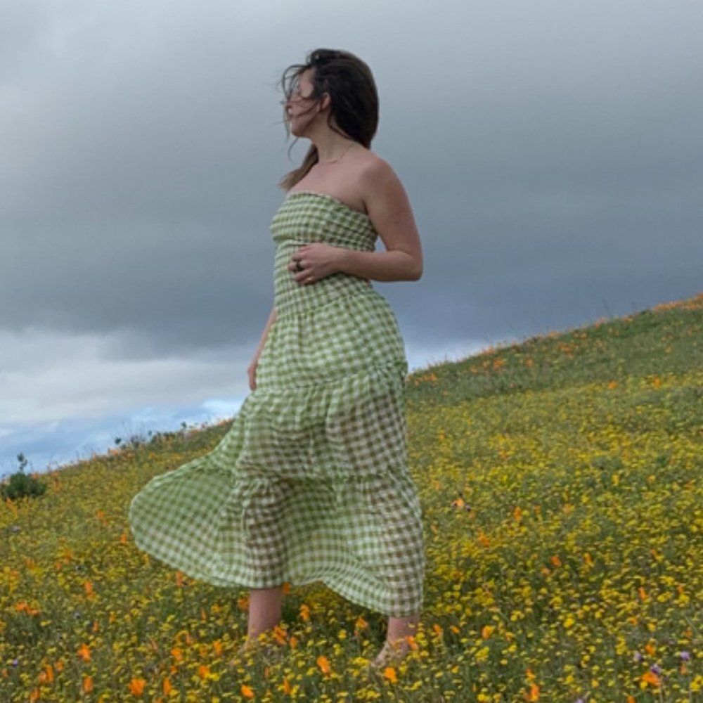 Emory Park Adelaide Green Gingham Dress Size Large
